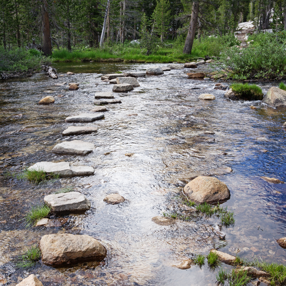 Big Pine Creek North Fork Trail View