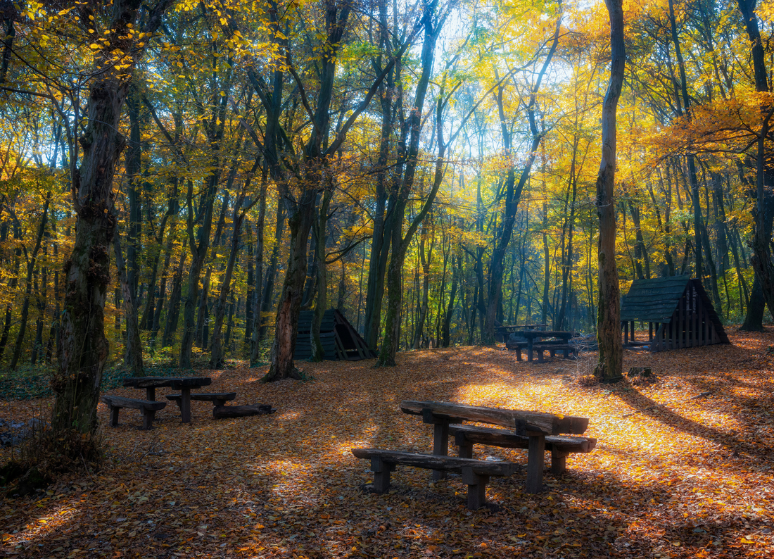 Little Harbor Campground on Catalina Island View