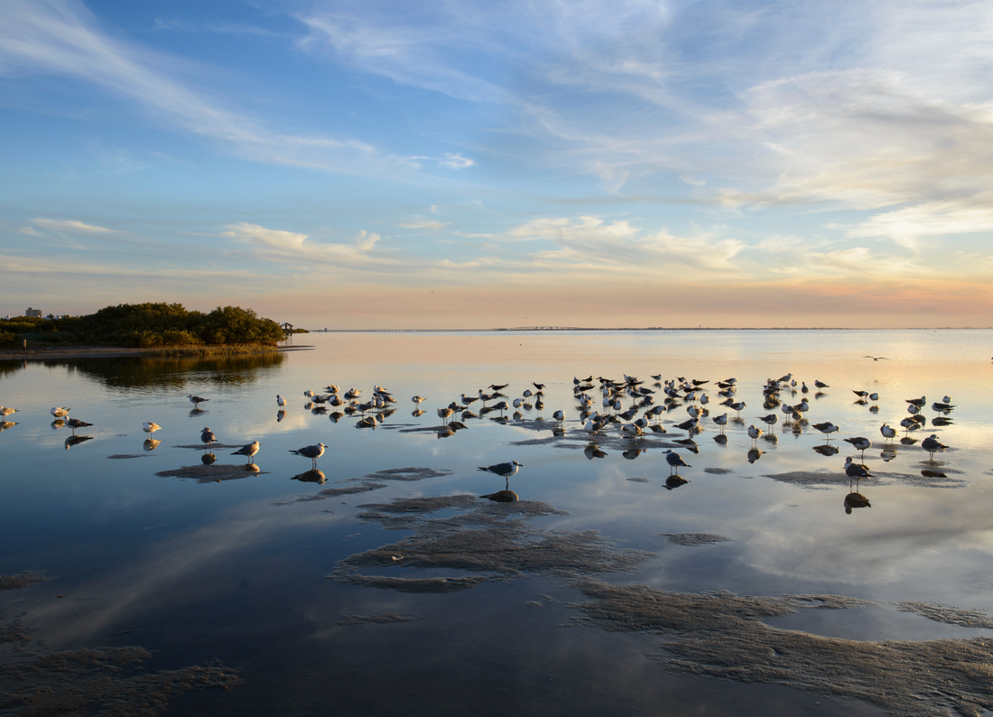Malaquite Campground on Padre Island, Texas