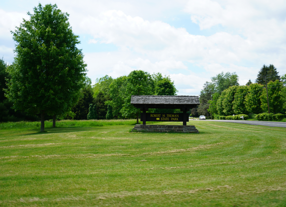 Robert H Treman State Park