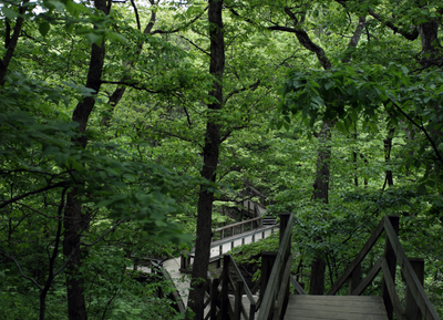 Starved Rock State Park Campground, Illinois