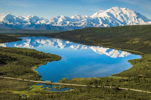 Denali national park covered by snow